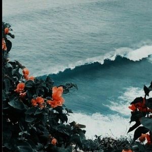 Meet your Posher, Destiny